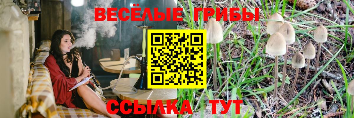 Брянск  Галлюциногенные грибы GOLDEN TEACHER  Галлюциногенные грибы прущие грибы  где продают   Вход с VPN 