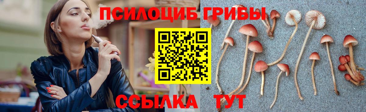 Галлюциногенные грибы Magic Shrooms Брянск